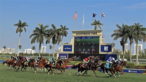 live racing at gulfstream park.